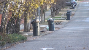 Fenyőfa elszállítás Gyál