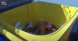 Sütőolaj gyűjtés Maglódon