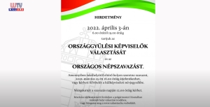 2022 02 11 WTV Híradó Választások előtt