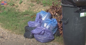 Változik a zöld hulladék szállítás Gyálon