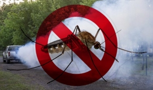 Szúnyoggyérítés Gyömrőn