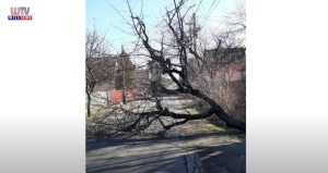 2022 02 04 WTV Híradó Viharkárok Üllőn