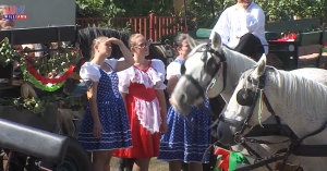 Vasadi szüreti felvonulás