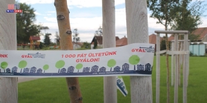 2023 01 20 Wtv Híradó Folytatódik a faültetési program Gyálon