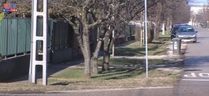 2023 02 03 Wtv Híradó Metszési bemutató és magbörze Gyálon felhívás