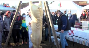 2022 02 04 WTV Híradó Böllérverseny lesz Gyálon