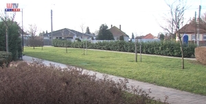 2023 01 27 Wtv Híradó Kiskerttulajdonosok tavaszi teendői Gyál