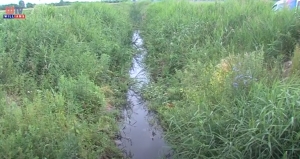 Szennyezett csatorna Üllő