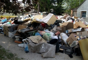 Lomtalanítás Üllő