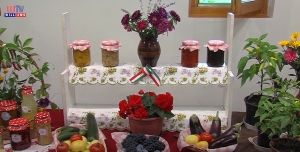 Terménykiállítás Gyálon