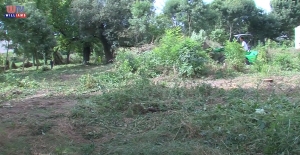 Társadalmi munka Ócsán a szabadidőparkért