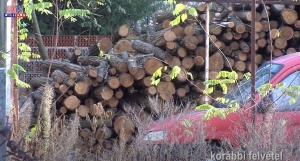 Szociális tüzifa Vasadon